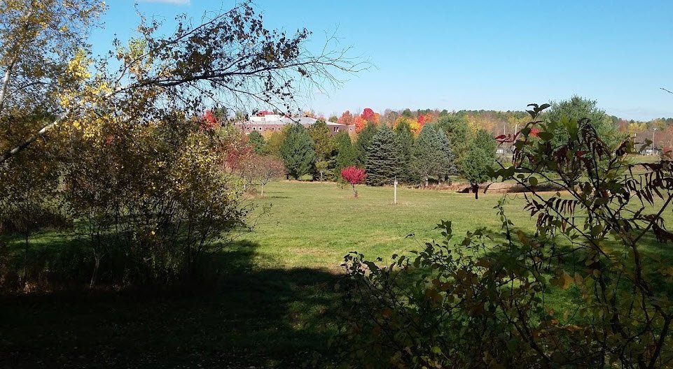Viles Arboretum, United States